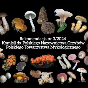 Rekomendacja polskiego nazewnictwa grzybów PTMyk cz 3