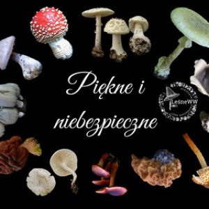 Piękne i niebezpieczne