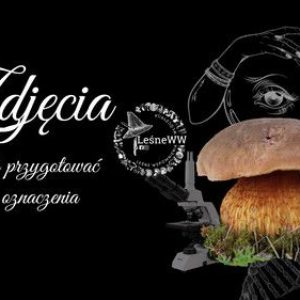 Zdjęcia do identyfikacji