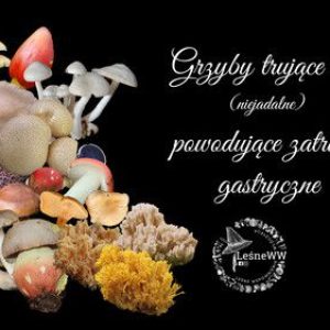 Zatrucia gastryczne grzybami