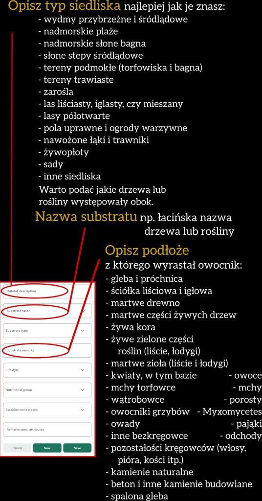 FUN-DIVE Instrukcja zgłaszania grzybów za pomocą aplikacji PlutoF Go text9432 4 1 3