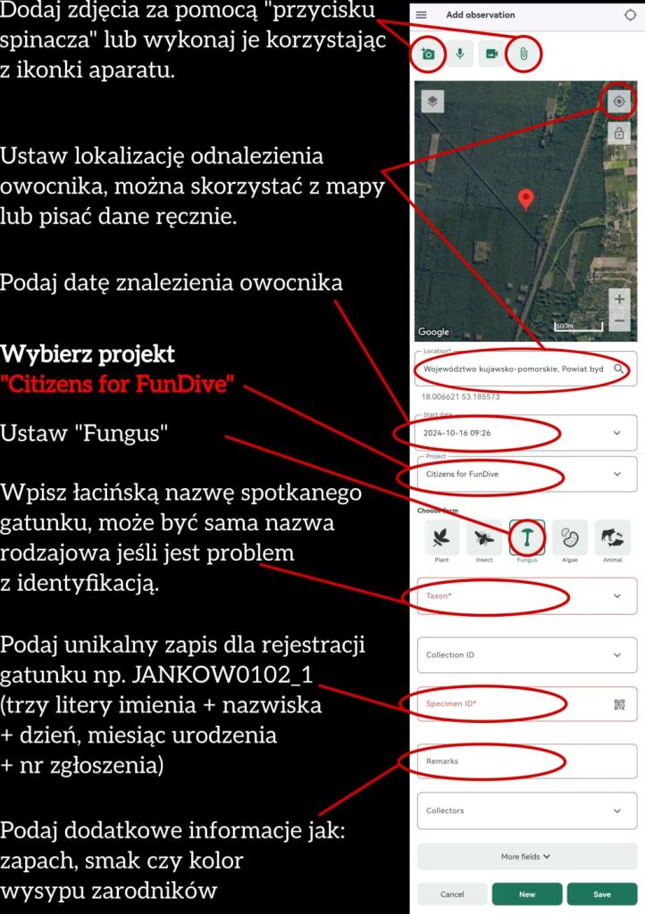 FUN-DIVE Instrukcja zgłaszania grzybów za pomocą aplikacji PlutoF Go text9432 4 1 4