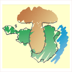 associació micològica joaquim codina