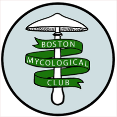 boston mycological club