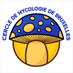 cercle de mycologie de bruxelles