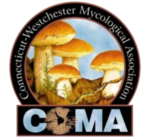 connecticut westchester mycological association