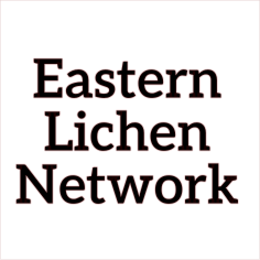 eastern lichen network