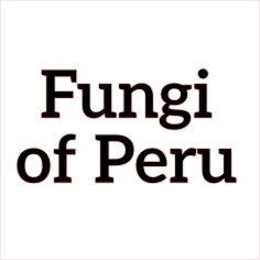 fungi of peru