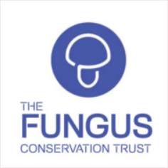 fungus conservation trust