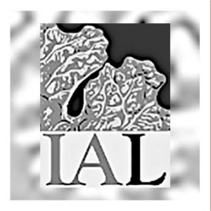 international association for lichenology logo