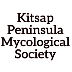 kitsap peninsula mycological society