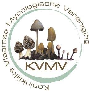 koninklijke antwerpse mycologische kring
