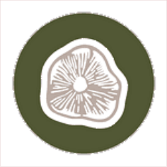 latvijas mikologu biedriba