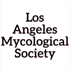 los angeles mycological societyb