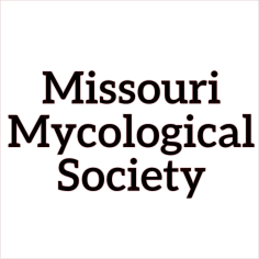 missouri mycological society