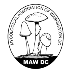 mycological association of washington dc