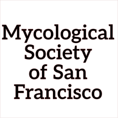 mycological society of san francisco
