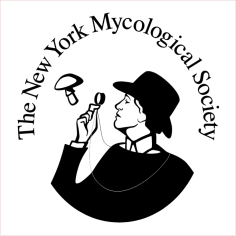new york mycological society