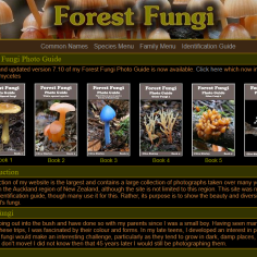 new zealand photo fungi