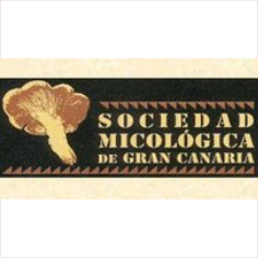sociedad micológica de gran canaria