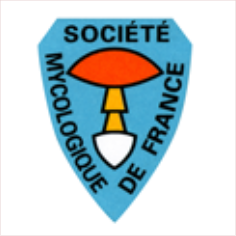 société mycologique de france