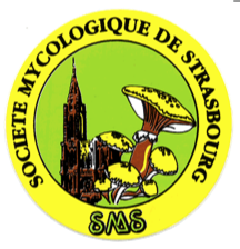 société mycologique de strasbourg