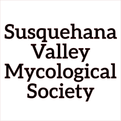 susquehana valley mycological society