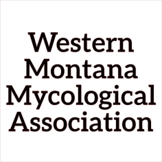 western montana mycological association