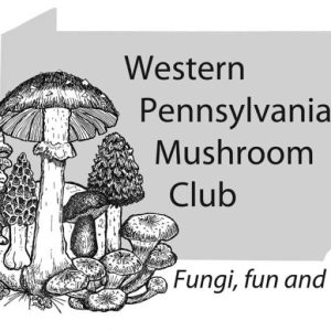 western pennsylvania mushroom club