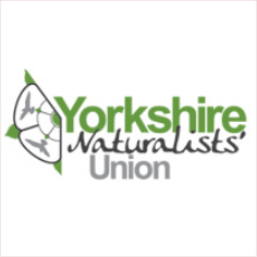 yorkshire naturalists’ union