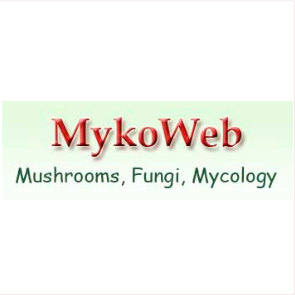 mycoweb logo