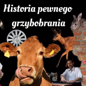 historia pewnego grzybobrania