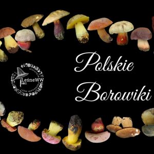 polskie borowiki