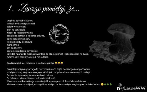 10 przykazań grzybiarza