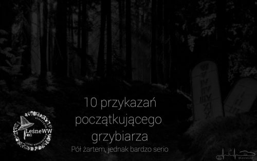 10 przykazań grzybiarza