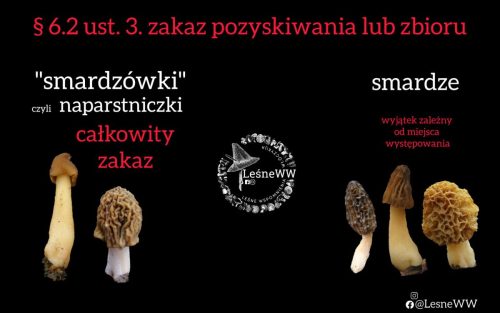 co można dopuścić do rozważenia zbioru