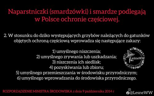 ochrona smardzowatych, a zasady ochrony