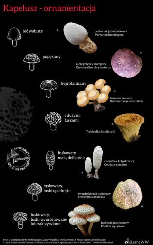 ornamentacja kapelusza 3