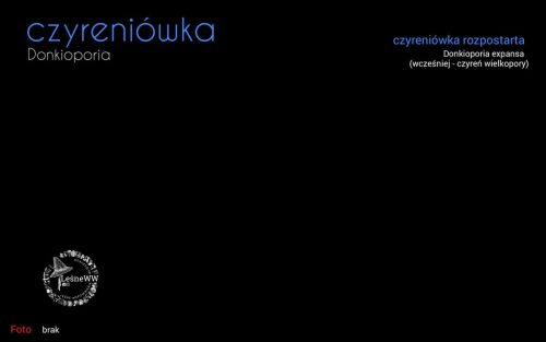 rekomendacja ptmyk czyreniówka