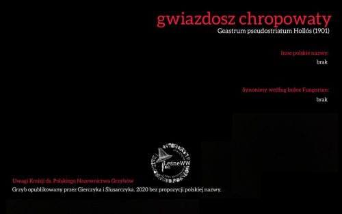 Rekomendacja-PTMyk-gwiazdosz-chropowaty