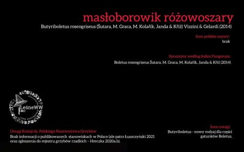 Rekomendacja-PTMyk-masloborowik-rozowoszary