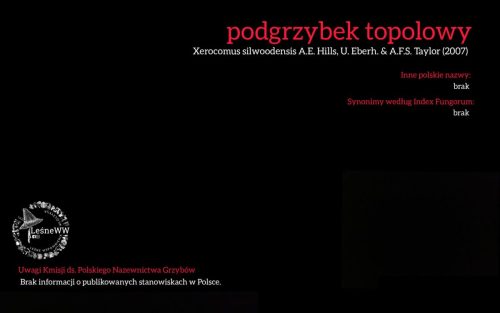 Rekomendacja-PTMyk-podgrzybek-topolowy