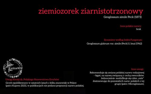 Rekomendacja-PTMyk-ziemiozorek-ziarnistotrzonowy