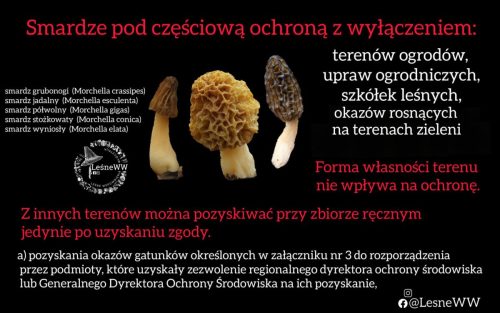 smardze, a wyłączenia z ochrony