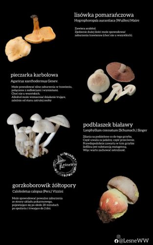 zatrucia gastryczne (2)