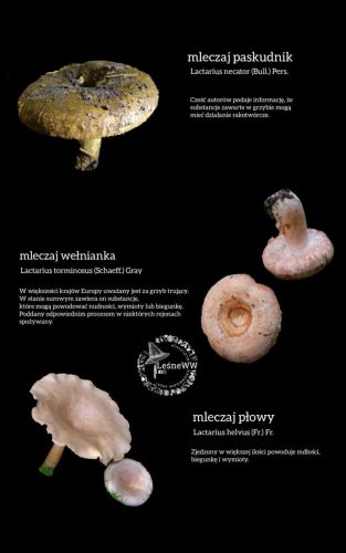 zatrucia gastryczne (8)